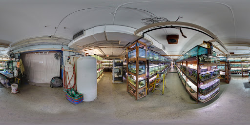 Pet Store «Forest Lake Pets», reviews and photos, 120 Lake St N, Forest Lake, MN 55025, USA