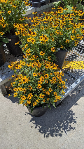 Home Improvement Store «The Home Depot», reviews and photos, 7251 Bell Creek Rd, Mechanicsville, VA 23111, USA