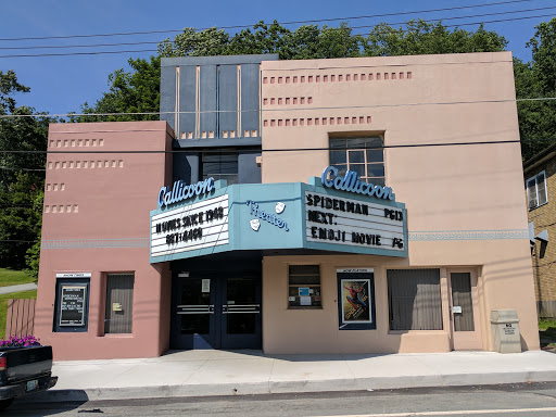 Movie Theater «Callicoon Theater», reviews and photos, 30 Upper Main St, Callicoon, NY 12723, USA