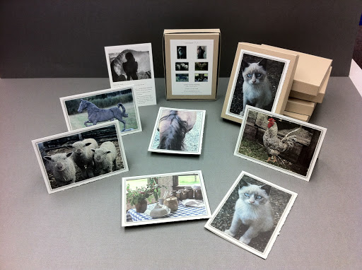 2110 Washington St NE, Minneapolis, MN 55418, USA