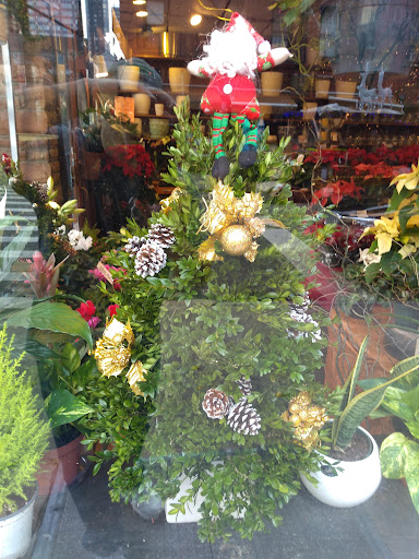 Florist «Sunshine Florist Inc.», reviews and photos, 946 1st Avenue, New York, NY 10022, USA