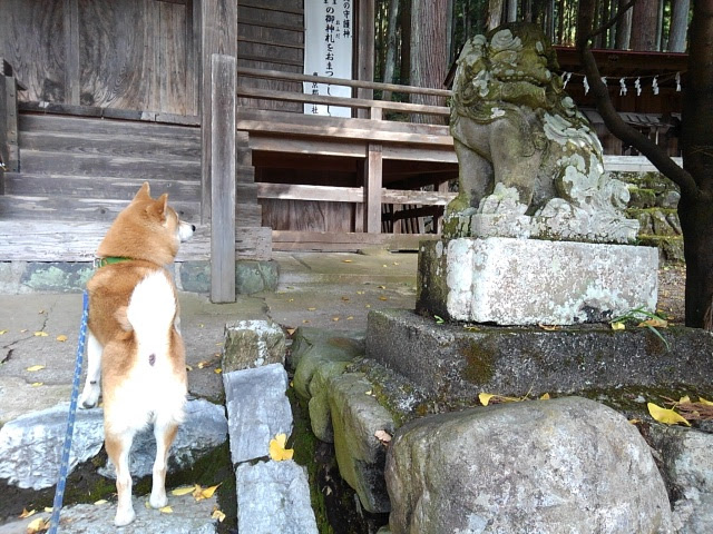 小丹波熊野神社