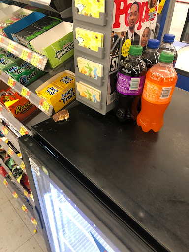 Discount Store «Walmart», reviews and photos, 1000 Easton Rd #200, Wyncote, PA 19095, USA