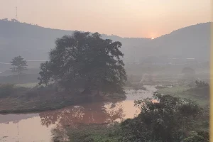 Tankanath Prasad Adhikari image