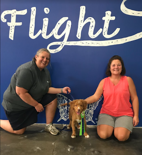 The Dogs' Spot - Dog Training Center and Boutique