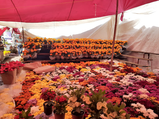 Mercado de flores Morelia