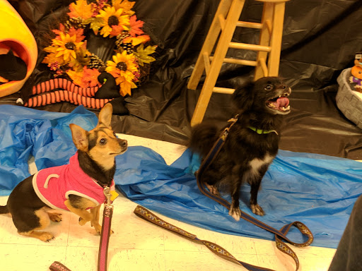 Pet Supply Store «PetSmart», reviews and photos, 2510 Berryhill Rd, Montgomery, AL 36117, USA