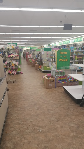Dollar Store «Dollar Tree», reviews and photos, 125 Essex St, Maywood, NJ 07607, USA