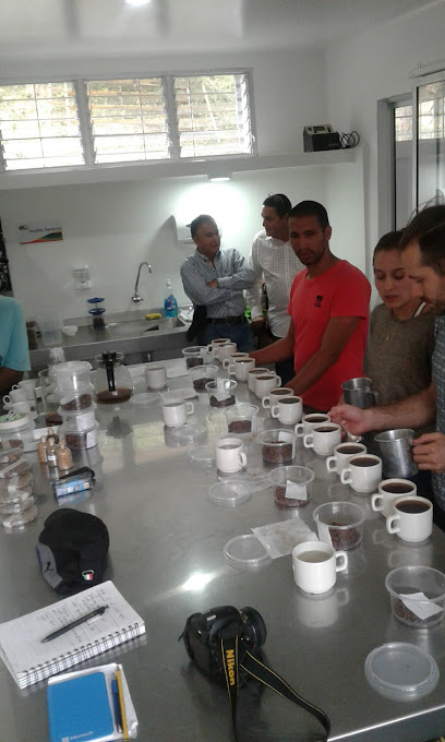Lacia Speciality coffee (Jairo Ivan Lopez)