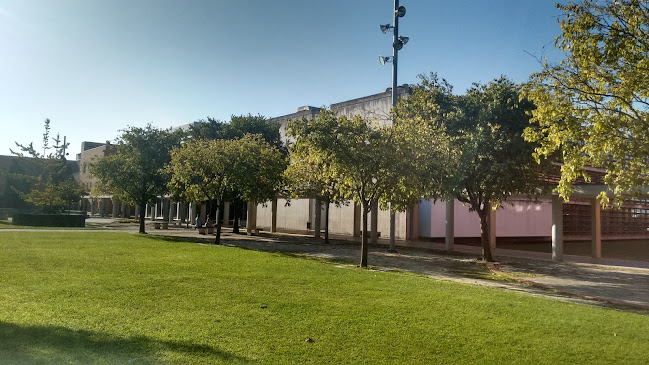 Departamento de Geociências