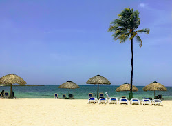 Playa Habana'in fotoğrafı ve yerleşim