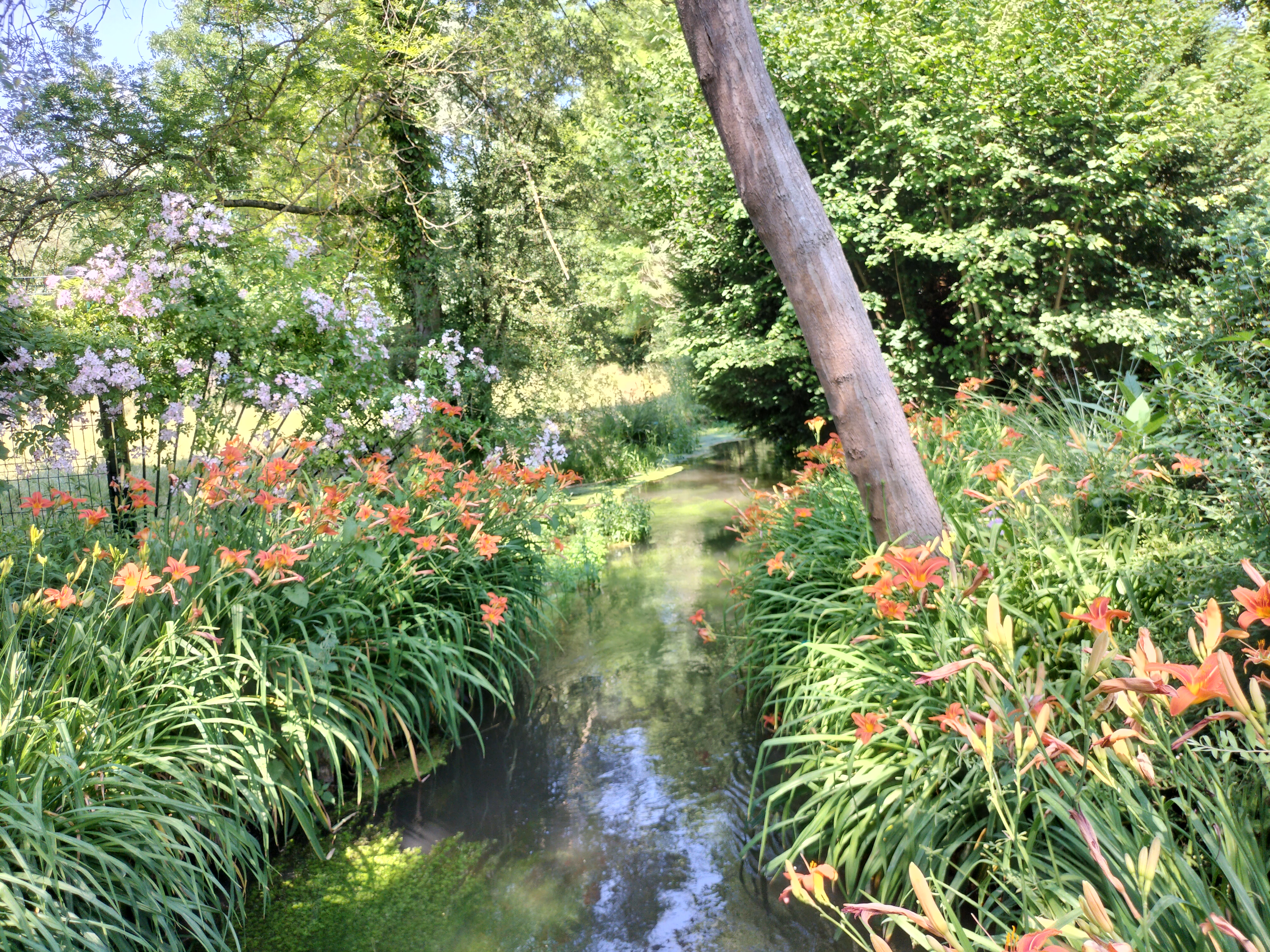 Photo n° 37 de l'avis de didier.e fait le 15/06/2023 à 13:38