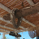 Photo n°1 de l'avis de Alessandro.a fait le 17/07/2021 à 11:57 sur le  Pizzeria Nord-Ovest à Calasetta