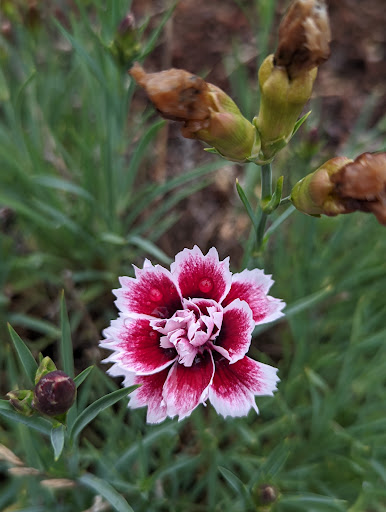 Shopping Mall «Olympic Village», reviews and photos, 5500 Olympic Dr NW, Gig Harbor, WA 98335, USA