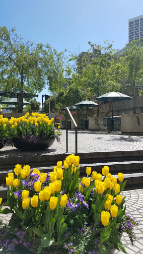 Book Store «Ambassador Toys», reviews and photos, 2 Embarcadero Center #6, San Francisco, CA 94111, USA