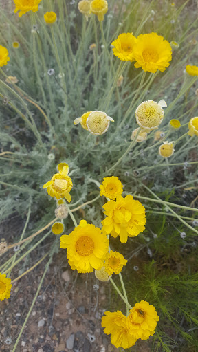National Park «Tuzigoot National Monument», reviews and photos, 25 Tuzigoot Rd, Clarkdale, AZ 86324, USA