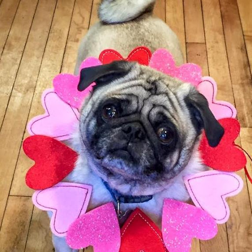 Jeweler «Silverstone Jewelers», reviews and photos, 120 W Grand River Ave, Howell, MI 48843, USA