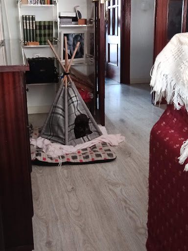 Clínica Veterinaria Parque Guadiana C S en Badajoz