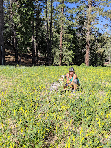 Holly Gardner, REALTOR Keller Williams Big Bear Lake Arrowhead-The Mountain Resort Group image