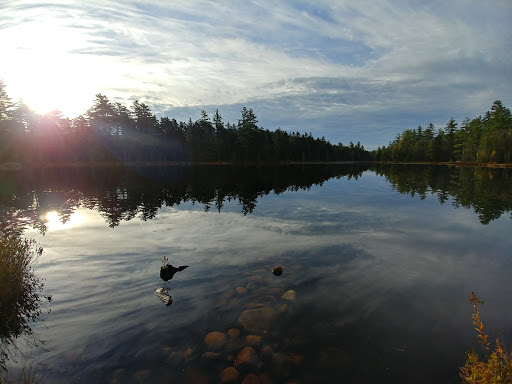 Panther Pond Trail and Leanto