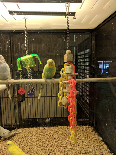 Pet Supply Store «PetSmart», reviews and photos, 2020 SW Westport Dr, Topeka, KS 66604, USA
