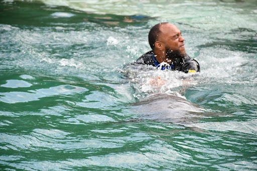 Tour Agency «Miami Swim With Dolphin Tours», reviews and photos, 247 SW 8th St, Miami, FL 33130, USA