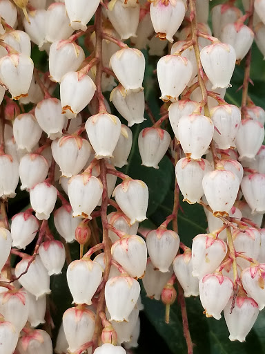 Park «Carl Schurz Park», reviews and photos, East 86th Street & East End Ave, New York, NY 10028, USA