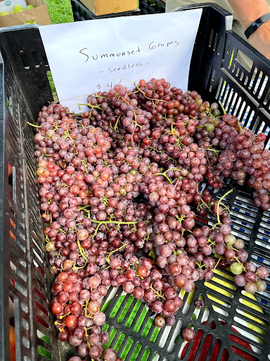 Orchard «Autumn Hills Orchard», reviews and photos, 495 Chicopee Row, Groton, MA 01450, USA