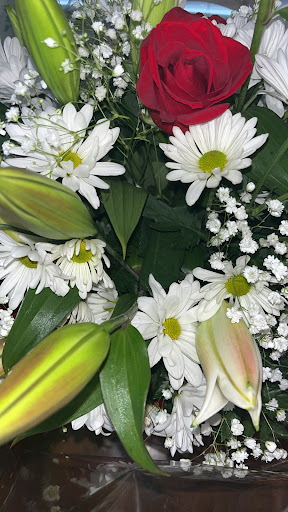 Florist «Stein Your Florist Co.», reviews and photos, 7059 Frankford Ave, Philadelphia, PA 19135, USA