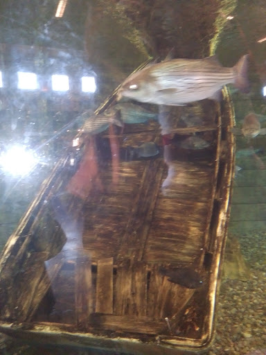 Electronics Store «Best Buy», reviews and photos, 10901 Georgia Ave, Wheaton, MD 20902, USA