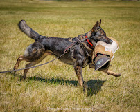 Wilvet South - Photo 8 - Car repair in Springfield, OR, Eugene