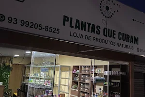 Plantas Que Curam - Produtos naturais Itaituba image