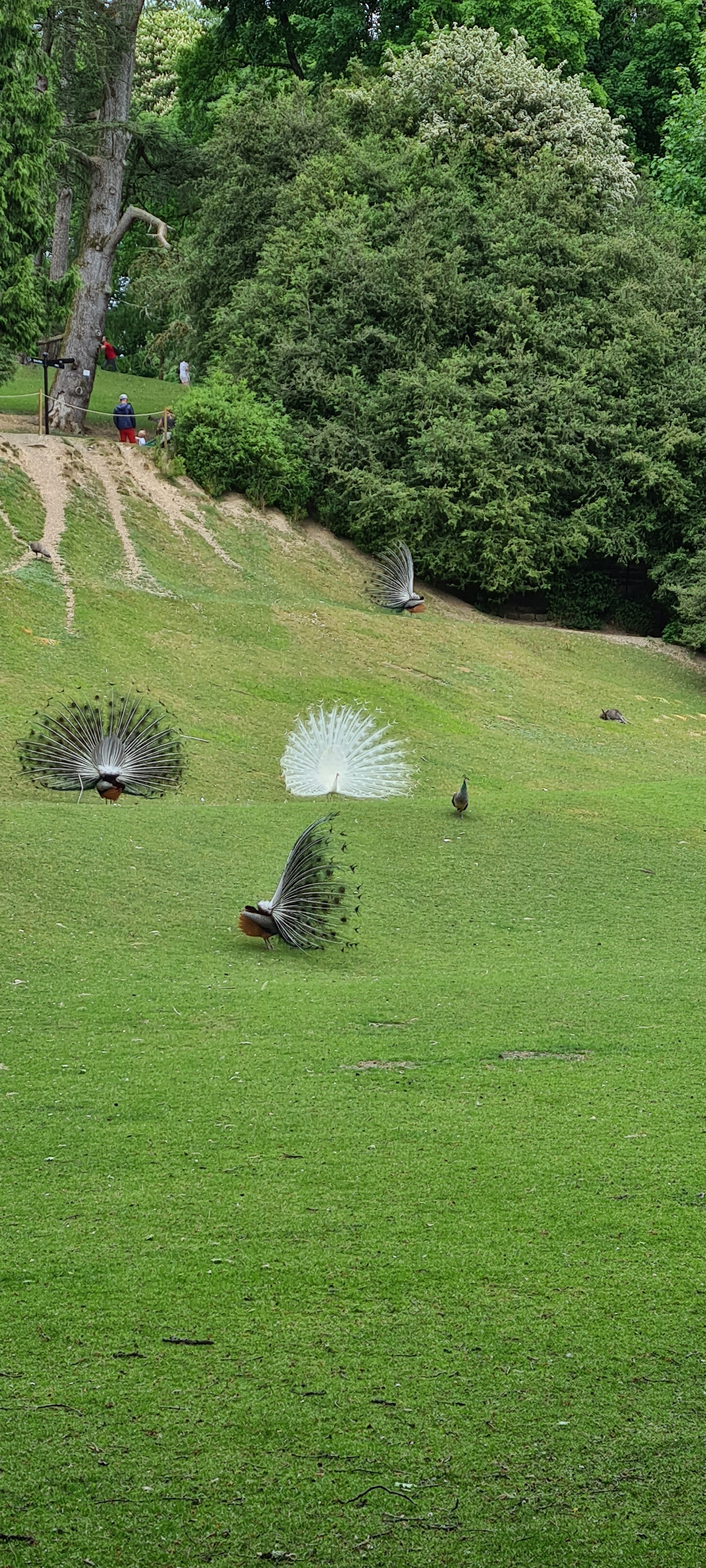 Photo n° 8 de l'avis de Raynald. fait le 15/05/2022 à 18:40