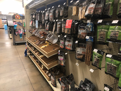 Pet Supply Store «PetSmart», reviews and photos, 1540 N Dale Mabry Hwy, Tampa, FL 33607, USA