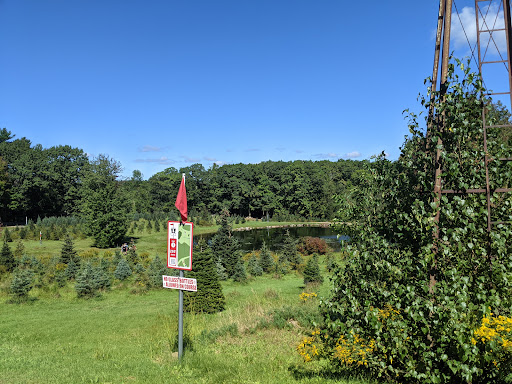 Outdoor Sports Store «Maple Hill Disc Golf», reviews and photos, 132 Marshall St, Leicester, MA 01524, USA