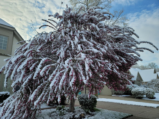 Park «Founders Park», reviews and photos, 11675 Hazel Dell Pkwy, Carmel, IN 46033, USA