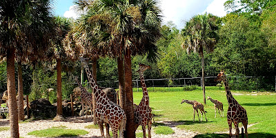 Jacksonville Zoo and Gardens