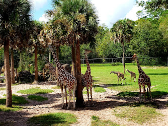 Jacksonville Zoo and Gardens