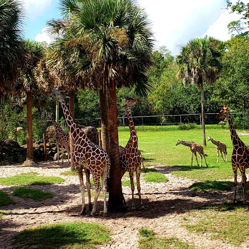 Jacksonville Zoo and Gardens