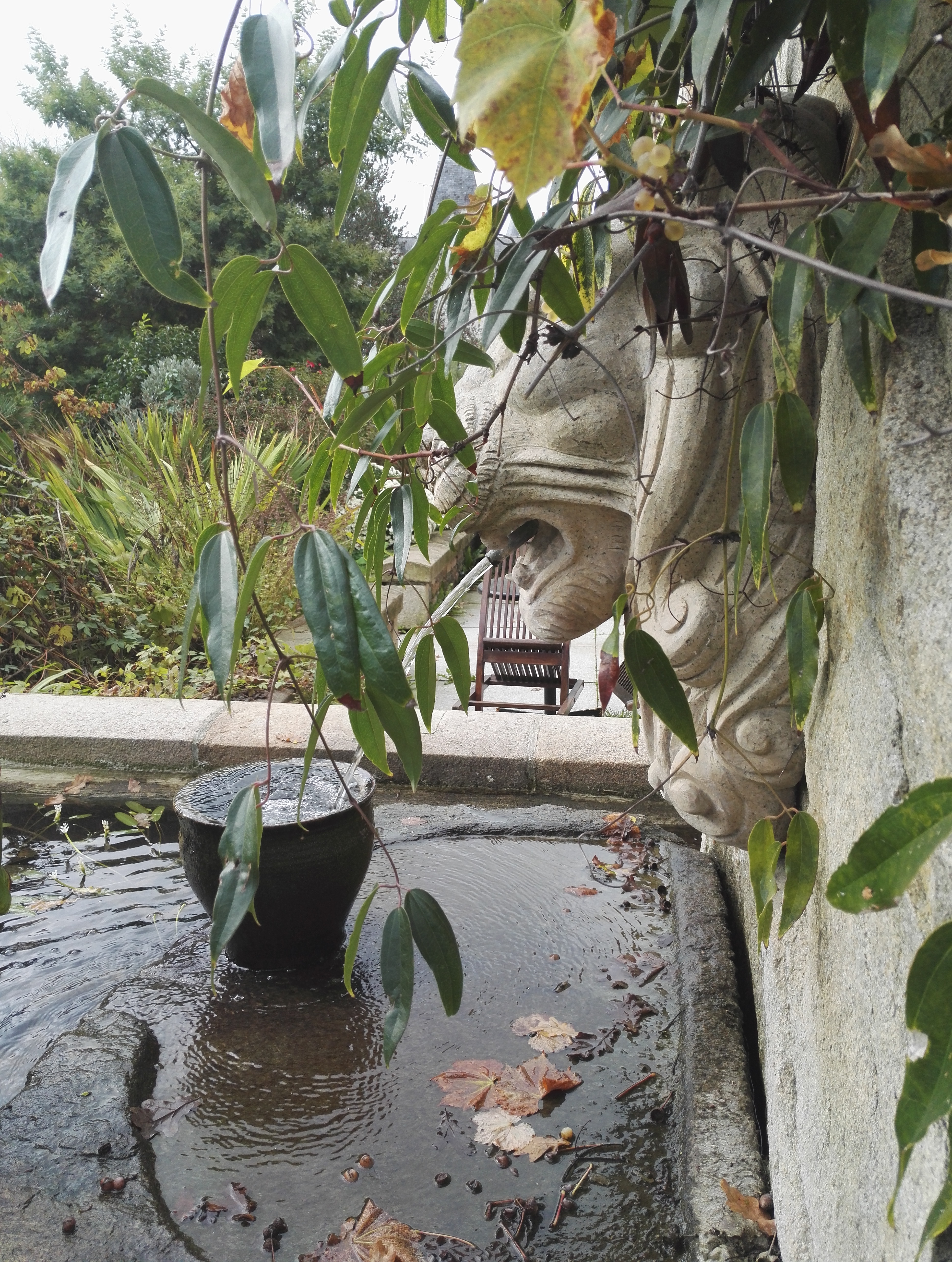 Photo n° 3 de l'avis de Elvewyn. fait le 30/10/2017 à 17:58