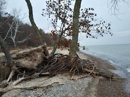 State Park «Lakeport State Park», reviews and photos, 7605 Lakeshore Rd, Lakeport, MI 48059, USA