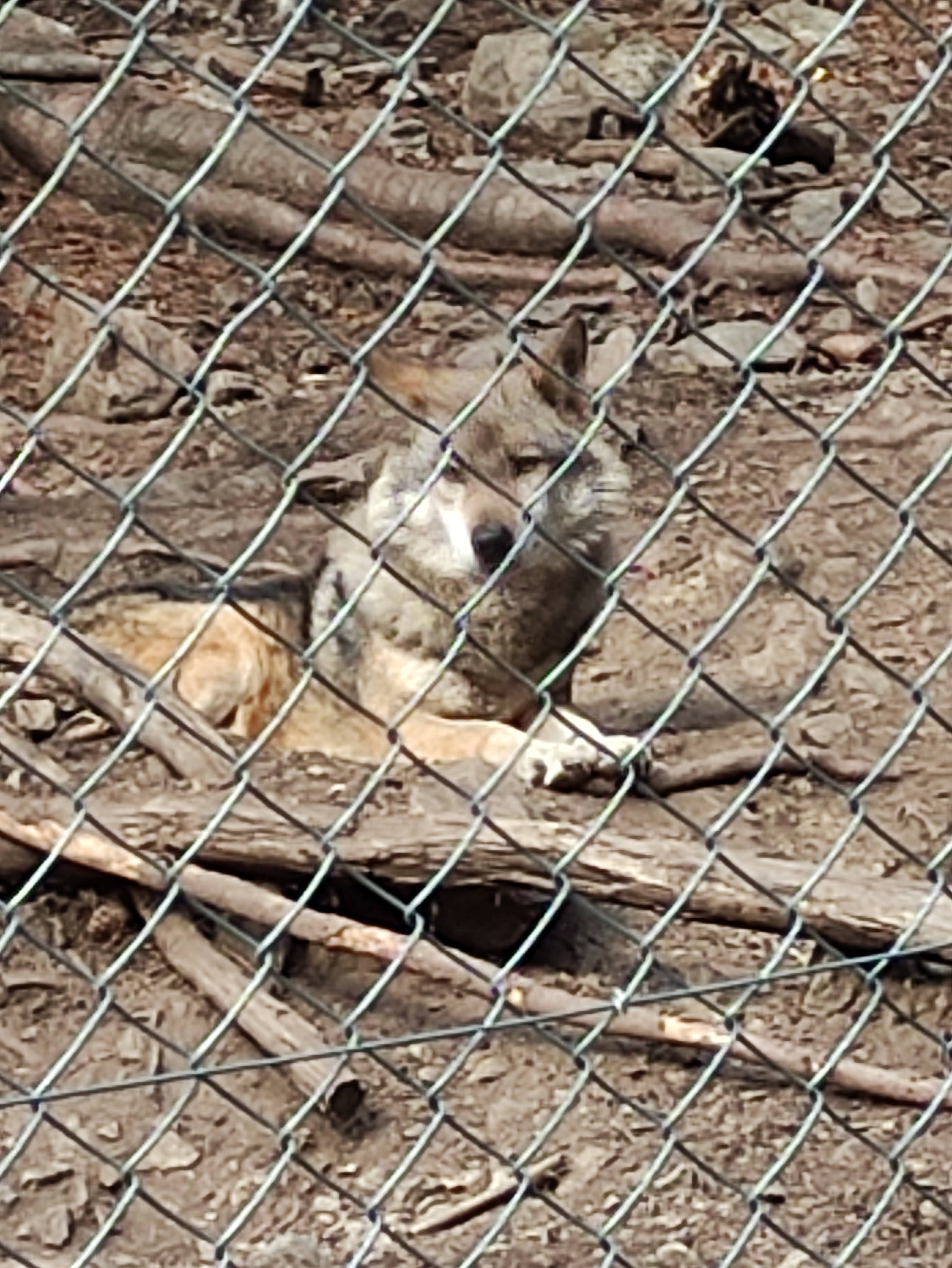 Photo n° 5 de l'avis de Alexandre.A fait le 17/11/2022 à 20:58