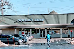 Dollar Tree image