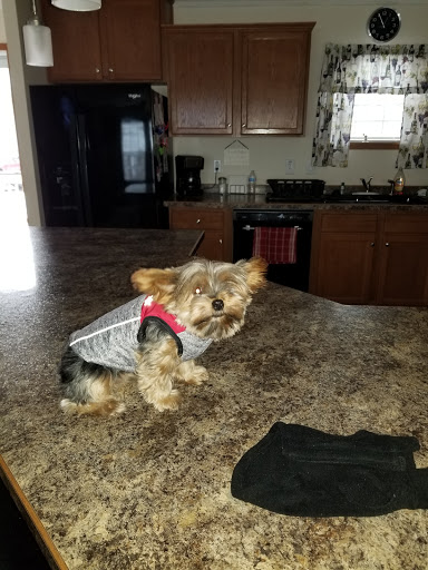 Pet Supply Store «Pet Supplies Plus», reviews and photos, 713 Brandilynn Blvd, Cedar Falls, IA 50613, USA