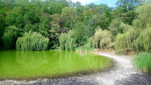 La Mare de Fontaine Les Dijon à Fontaine-lès-Dijon