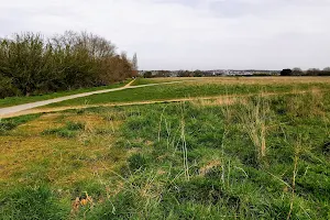 Hilly Fields image