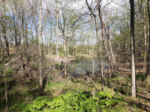 Nature Preserve «Leonard Preserve», reviews and photos, N Union St, Manchester, MI 48158, USA