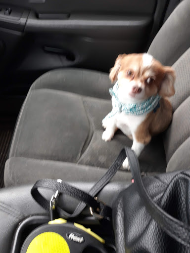 Pet Supply Store «Petco Animal Supplies», reviews and photos, 2373 W Ridge Rd, Greece, NY 14626, USA