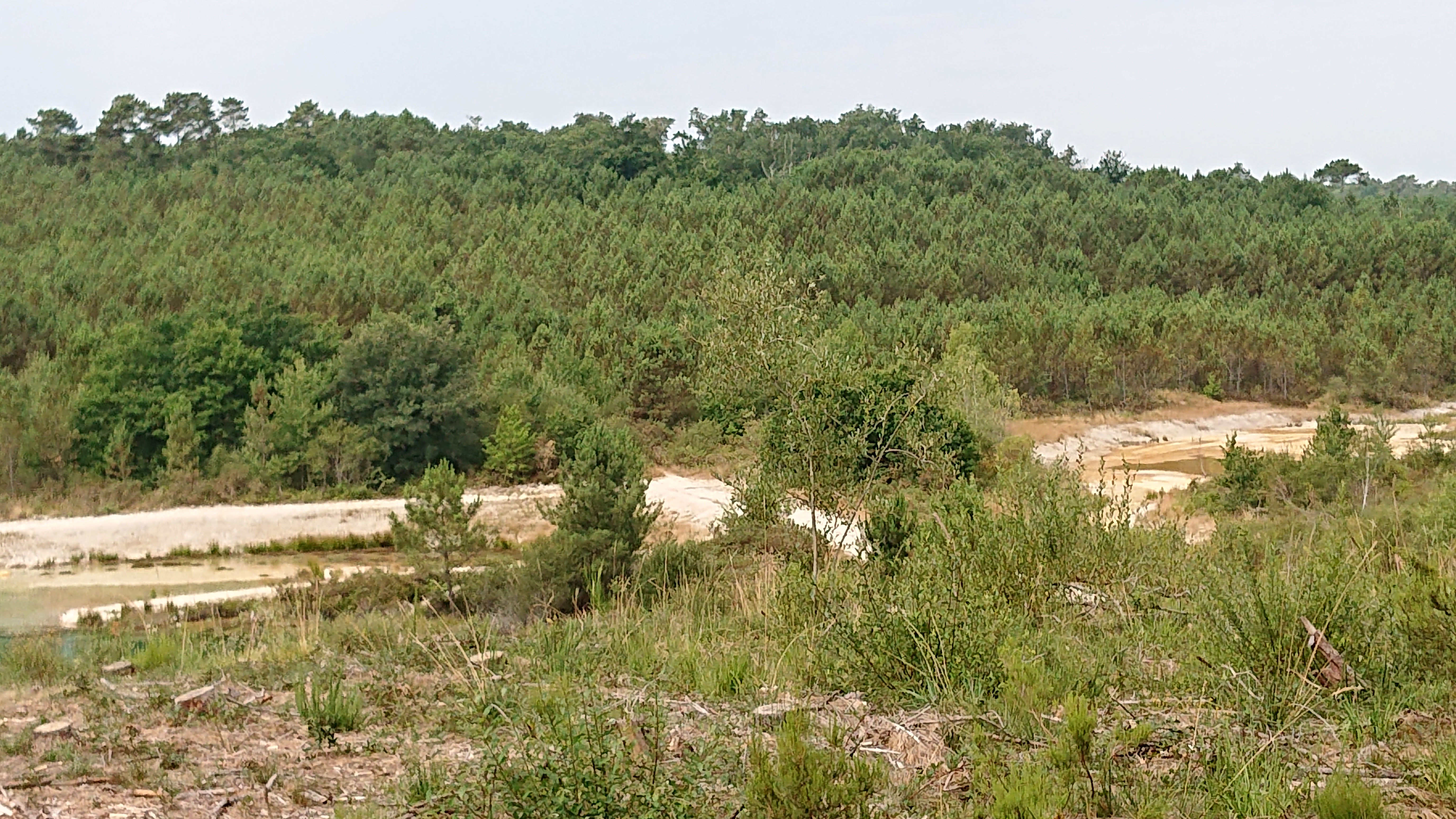 Photo n° 5 de l'avis de Z..l fait le 21/07/2020 à 17:46