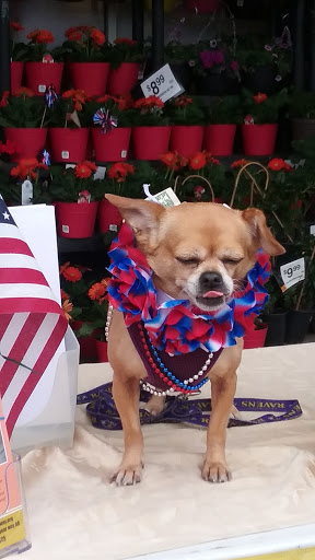 Supermarket «Giant», reviews and photos, 948 Bay Ridge Rd, Annapolis, MD 21403, USA